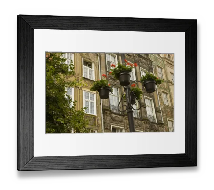 Framed Print : Europe, Poland, Gdansk. Flower pots decorate front of buildings in Old Town. Credit as Framed Print : Europe, Poland, Gdansk. Flower pots decorate front of buildings in Old Town. Credit as