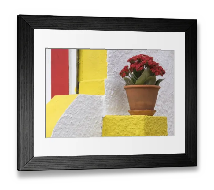 Framed Print : Portugal, Costa Nova do Prado. Colorful house with flowering plant on step Framed Print : Portugal, Costa Nova do Prado. Colorful house with flowering plant on step