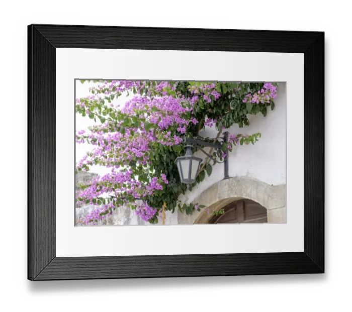 Framed Print : Europe, Portugal, Obidos. Arched doorway with Purple Bougainvillea and wrought Iron