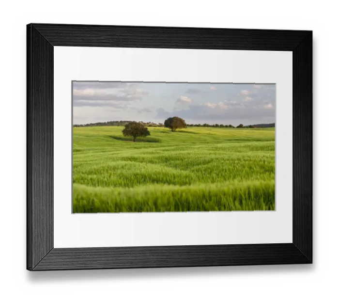Framed Print : Landscape with fields of grain near Mertola in the nature reserve Parque Natural Framed Print : Landscape with fields of grain near Mertola in the nature reserve Parque Natural