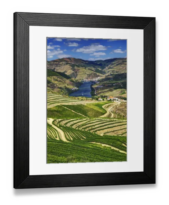 Framed Print : Europe; Portugal; Duoro Valley; Terraced Vineyards linning the hills of the Duoro Valley