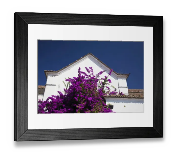 Framed Print : Europe, Portugal, Lisbon; Colorful Alfama neighborhood of Lisbon Framed Print : Europe, Portugal, Lisbon; Colorful Alfama neighborhood of Lisbon