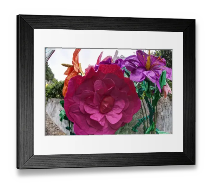 Framed Print : Europe; Portugal; Tomar; The streets of Tomar decorated with paper flowers for the celebrations