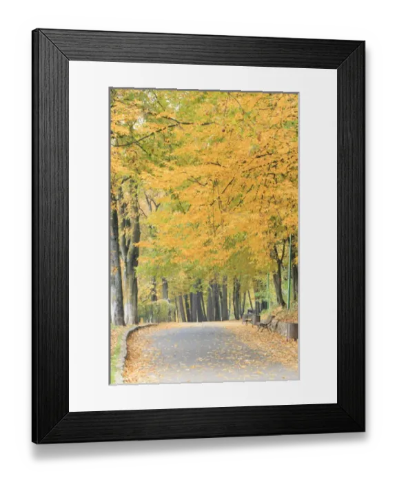 Framed Print : Europe, Romania, Brasov. Poarta Schei district Framed Print : Europe, Romania, Brasov. Poarta Schei district