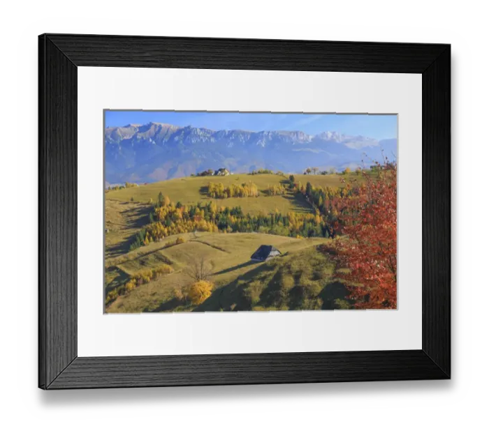 Framed Print : Europe, Romania, Transylvania, Carpathian Mountains, Magura, Piatra Craiului National Framed Print : Europe, Romania, Transylvania, Carpathian Mountains, Magura, Piatra Craiului National