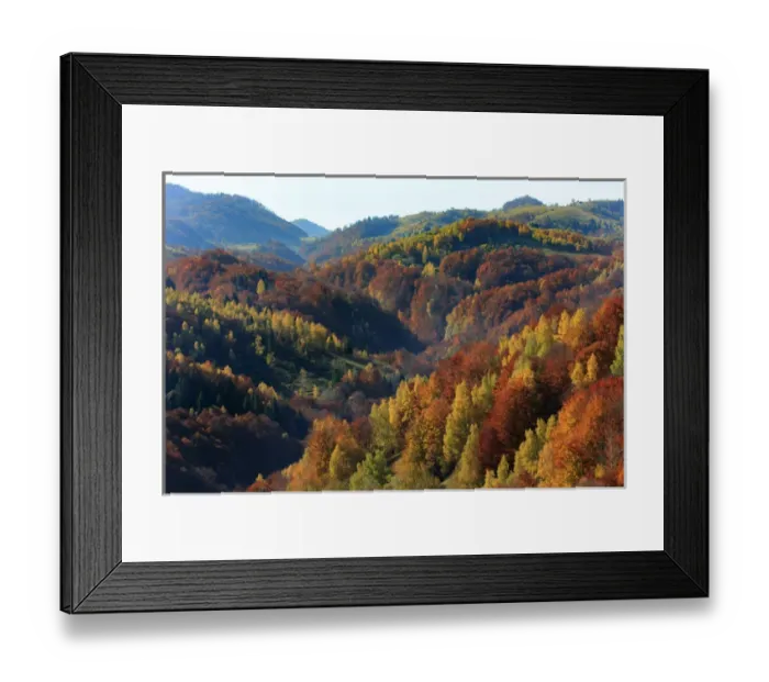 Framed Print : Europe, Romania, Transylvania, Carpathian Mountains, Magura, Piatra Craiului National Park