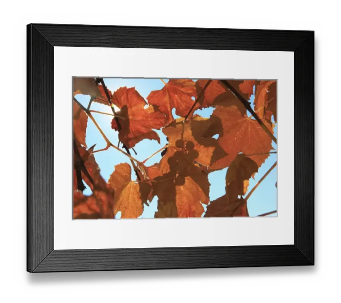 Framed Print : Europe, Transylvania, Romania Maramures County, Dobricu Lapusului Framed Print : Europe, Transylvania, Romania Maramures County, Dobricu Lapusului