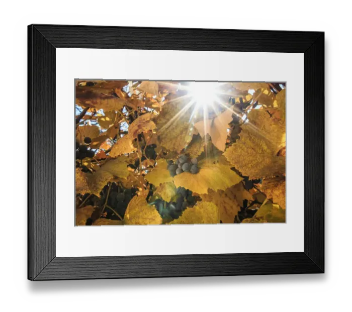 Framed Print : Europe, Transylvania, Romania Maramures County, Dobricu Lapusului Framed Print : Europe, Transylvania, Romania Maramures County, Dobricu Lapusului