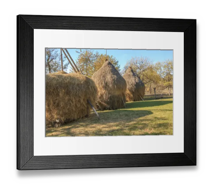 Framed Print : Romania Maramures County, Dobricu Lapusului. Hay stack