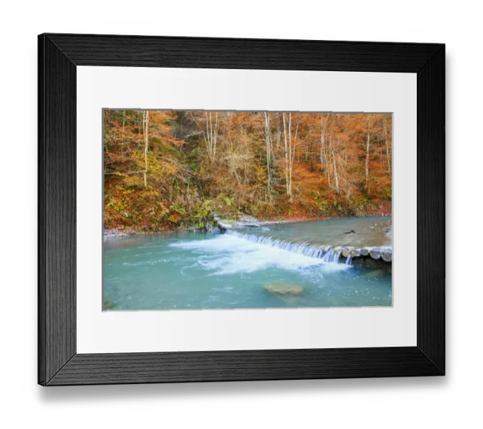 Framed Print : Europe, Romania, Viseu de Sus. Carpathian Forest, Vaser River Framed Print : Europe, Romania, Viseu de Sus. Carpathian Forest, Vaser River