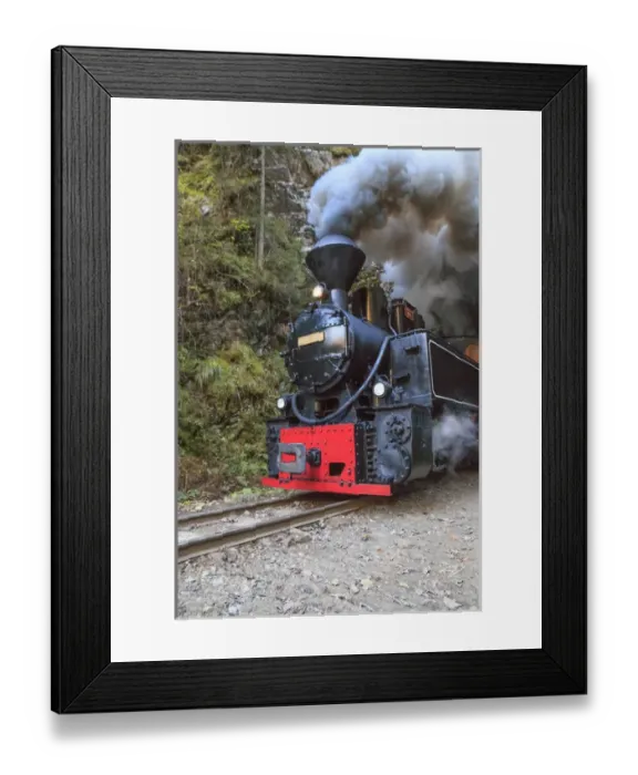 Framed Print : Europe, Romania, Viseu de Sus. Carpathian Forest Steam train. Vaser Valley Railway Framed Print : Europe, Romania, Viseu de Sus. Carpathian Forest Steam train. Vaser Valley Railway