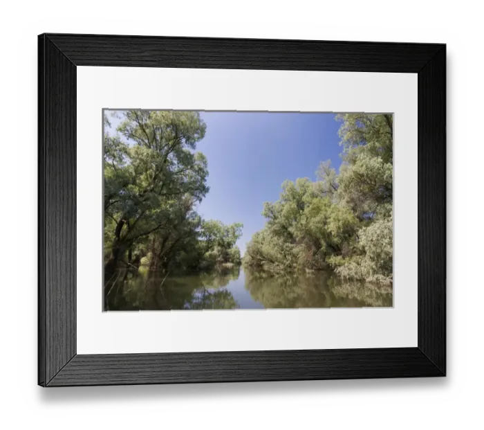 Framed Print : Channels and lakes in the Danube Delta, romania