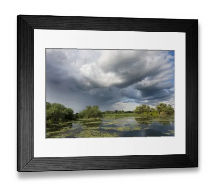 Framed Print : Lakes in the Danube Delta, romania, thunderstorm clouds form in the air, which is Framed Print : Lakes in the Danube Delta, romania, thunderstorm clouds form in the air, which is