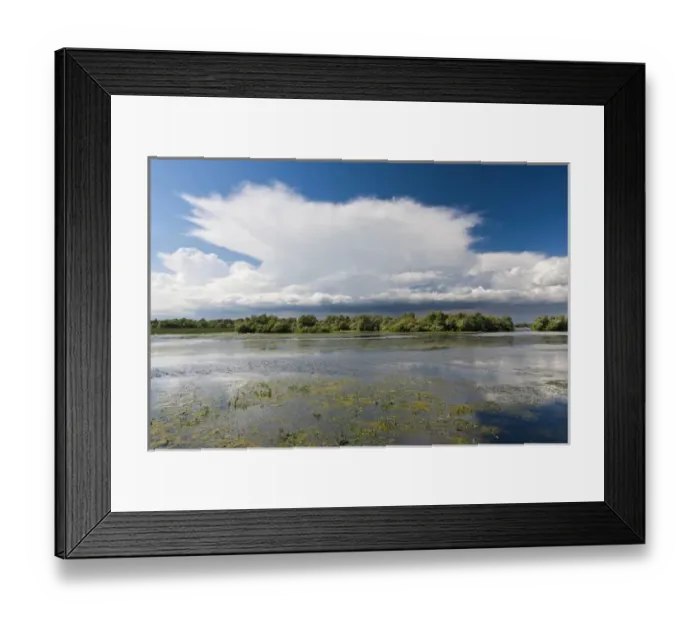 Framed Print : Lakes in the Danube Delta, romania, thunderstorm clouds form in the air, which is Framed Print : Lakes in the Danube Delta, romania, thunderstorm clouds form in the air, which is