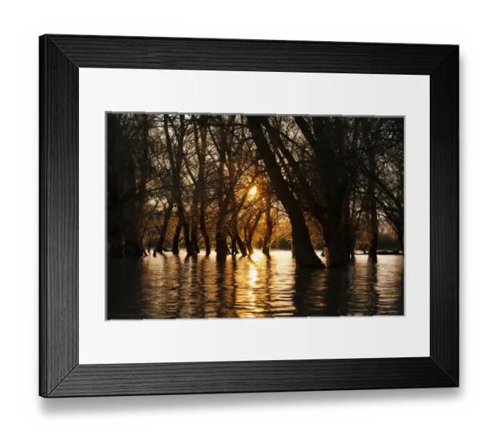 Framed Print : Channels during sunrise in the Danube Delta, romania