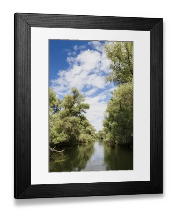 Framed Print : Channels and lakes in the Danube Delta, romania Framed Print : Channels and lakes in the Danube Delta, romania