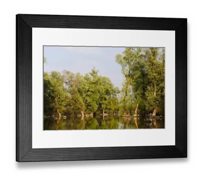 Framed Print : Channels and lakes in the Danube Delta, romania