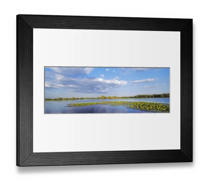 Framed Print : Panorama of lakes and channels in the Danube Delta, romania Framed Print : Panorama of lakes and channels in the Danube Delta, romania