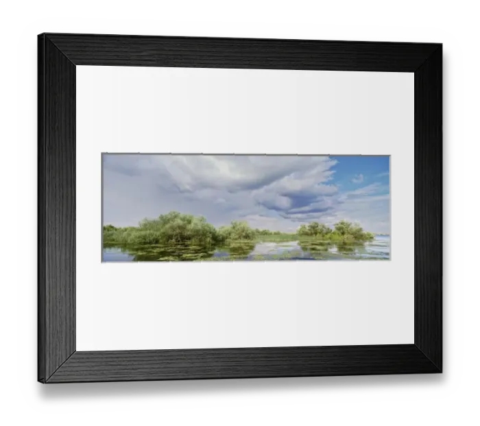 Framed Print : Panorama of lakes and channels in the Danube Delta, romania, thunderstorm clouds form in the air Framed Print : Panorama of lakes and channels in the Danube Delta, romania, thunderstorm clouds form in the air