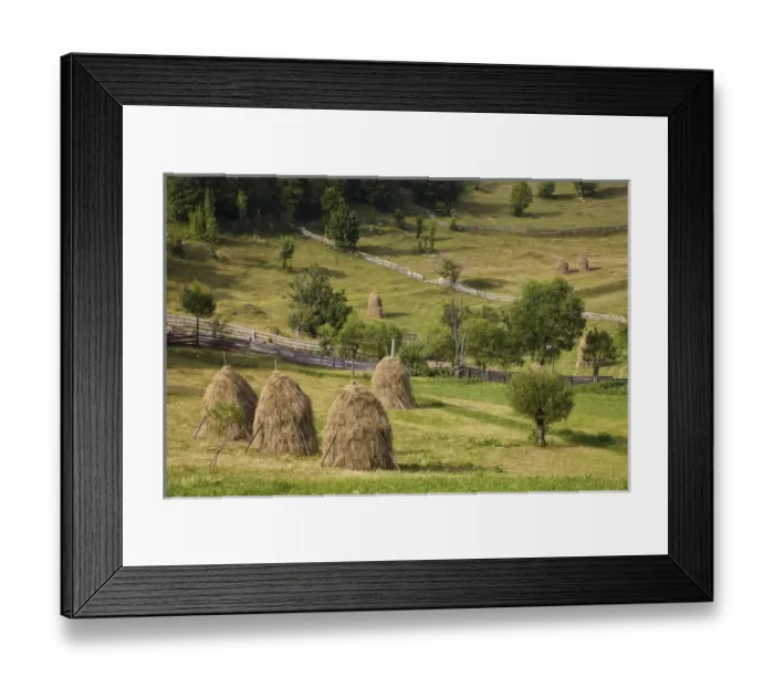 Framed Print : Hay harvest and haystack in the Apuseni Mountains, Scarisoara, Romania