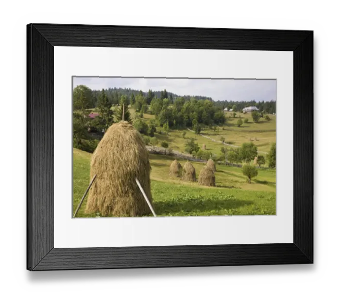 Framed Print : Hay harvest and haystack in the Apuseni Mountains, Scarisoara, Romania