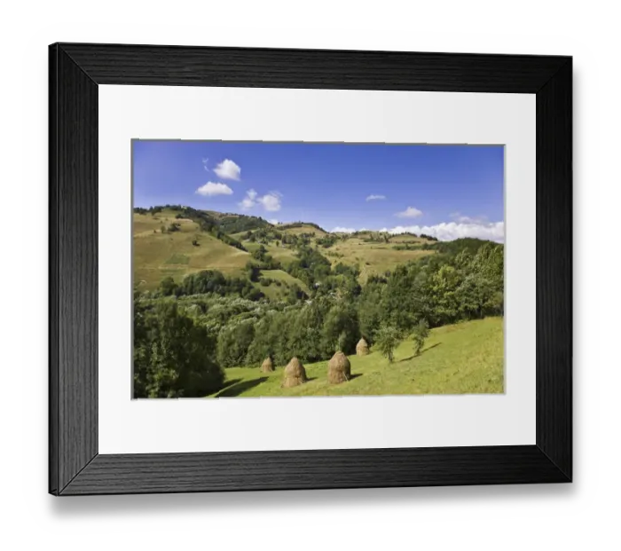 Framed Print : Hay harvest and haystack in the Apuseni Mountains, Scarisoara, Romania Framed Print : Hay harvest and haystack in the Apuseni Mountains, Scarisoara, Romania