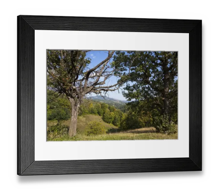 Framed Print : The Carpathian Mountains west of Baia de Arama Framed Print : The Carpathian Mountains west of Baia de Arama