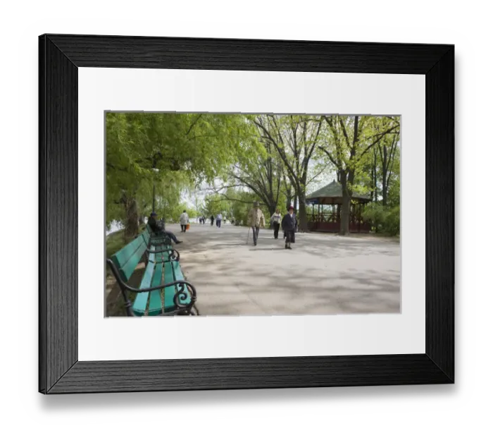 Framed Print : Spring in Herastrau Park in the City center of Bucharest. Herastrau is the biggest Framed Print : Spring in Herastrau Park in the City center of Bucharest. Herastrau is the biggest
