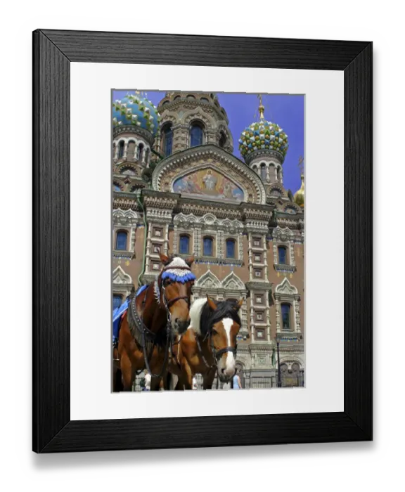 Framed Print : Europe, Russia, St. Petersburg. Horses outside the Church of the Spilled Blood Framed Print : Europe, Russia, St. Petersburg. Horses outside the Church of the Spilled Blood