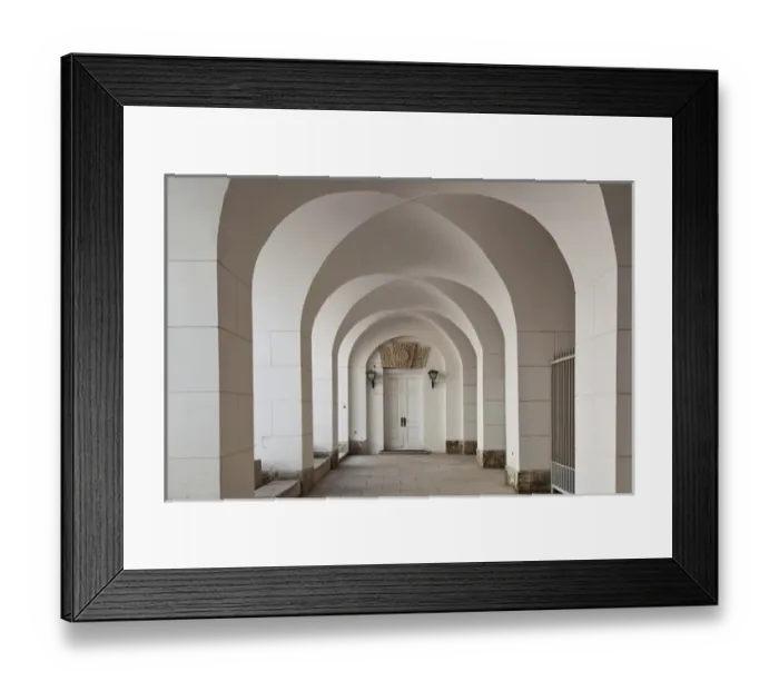 Framed Print : Russia, Saint Petersburg, Pushkin-Tsarskoye Selo, Cameron Gallery, arches Framed Print : Russia, Saint Petersburg, Pushkin-Tsarskoye Selo, Cameron Gallery, arches