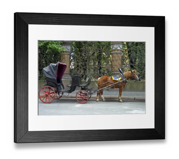 Framed Print : Europe, Russia, St. Petersburg. Horsedrawn Carriage awaits on an avenue in St. Petersburg