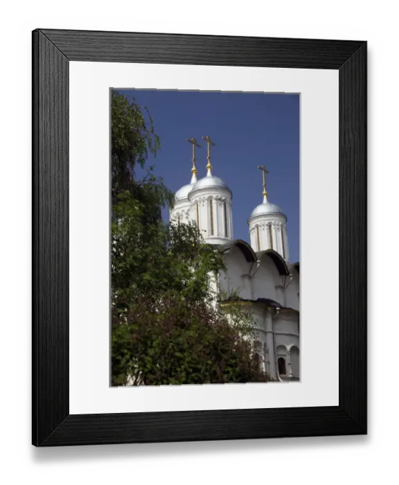 Framed Print : Europe, Russia, Moscow. Church of the Twelve Apostles, Kremlin, Moscow