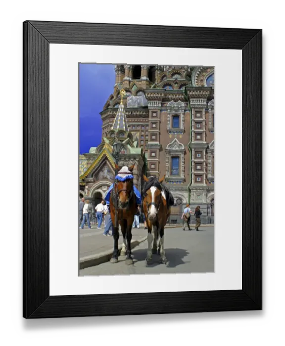 Framed Print : Europe, Russia, St. Petersburg. Horses outside the Church of the Spilled Blood Framed Print : Europe, Russia, St. Petersburg. Horses outside the Church of the Spilled Blood