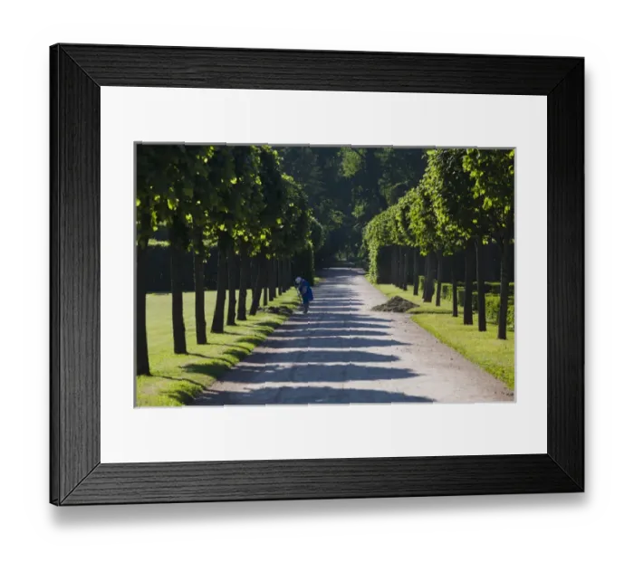 Framed Print : Russia, Saint Petersburg, Pushkin-Tsarskoye Selo, palace grounds Framed Print : Russia, Saint Petersburg, Pushkin-Tsarskoye Selo, palace grounds