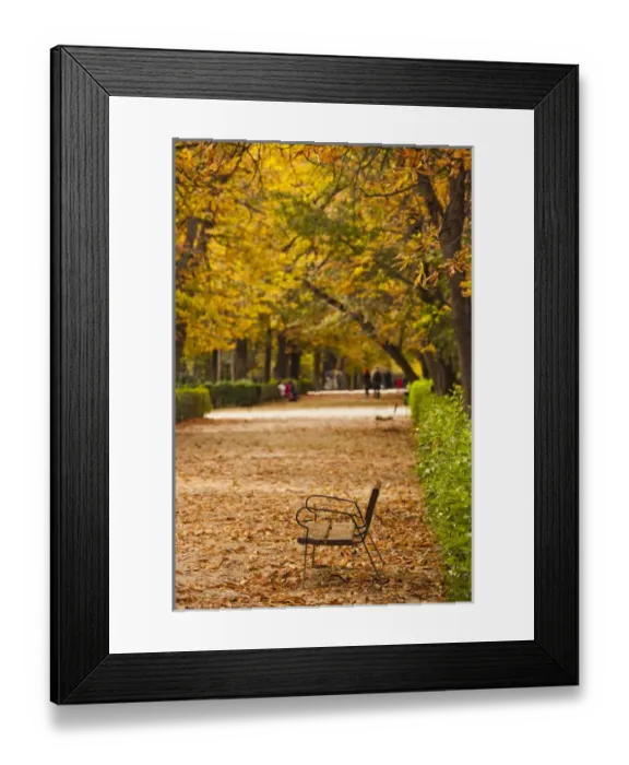 Framed Print : Spain, Madrid, Parque del Buen Retiro park, fall foliage Framed Print : Spain, Madrid, Parque del Buen Retiro park, fall foliage