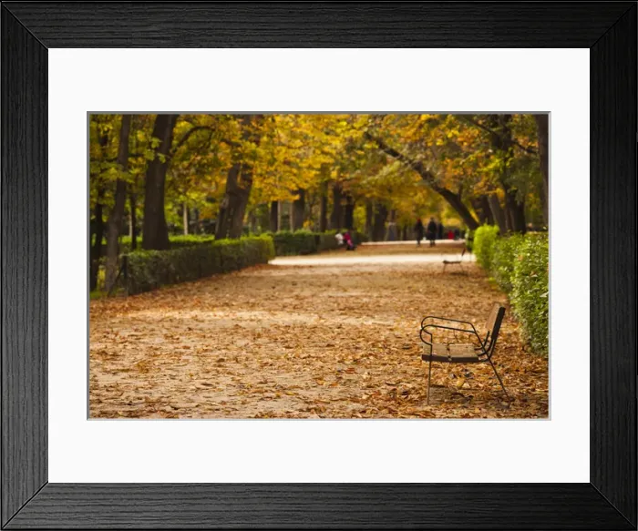 Framed Print : Spain, Madrid, Parque del Buen Retiro park, fall foliage Framed Print : Spain, Madrid, Parque del Buen Retiro park, fall foliage