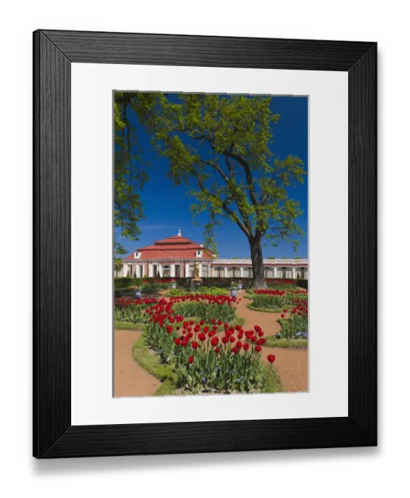 Framed Print : Russia, Saint Petersburg, Peterhof, Monplaisir Villa Framed Print : Russia, Saint Petersburg, Peterhof, Monplaisir Villa