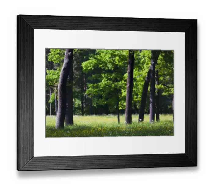 Framed Print : Russia, Saint Petersburg, Pushkin-Tsarskoye Selo, palace grounds