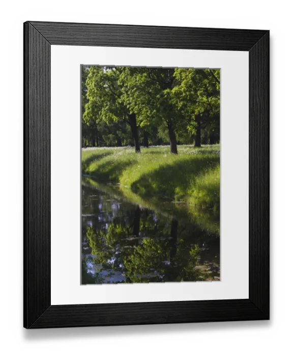 Framed Print : Russia, Saint Petersburg, Pushkin-Tsarskoye Selo, palace grounds Framed Print : Russia, Saint Petersburg, Pushkin-Tsarskoye Selo, palace grounds