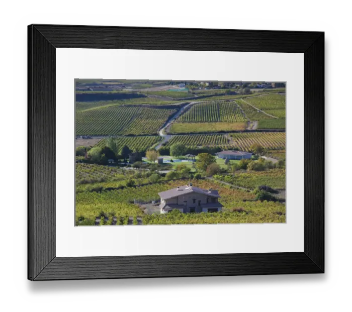 Framed Print : Spain, Basque Country Region, La Rioja Area, Alava Province, Laguardia, elevated