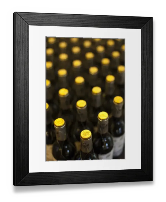 Framed Print : Spain, Basque Country Region, La Rioja Area, Alava Province, Elciego, Bodega Marques