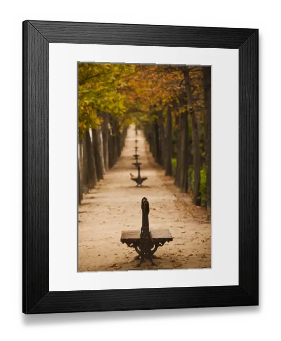 Framed Print : Spain, Madrid, Parque del Buen Retiro park, fall foliage Framed Print : Spain, Madrid, Parque del Buen Retiro park, fall foliage