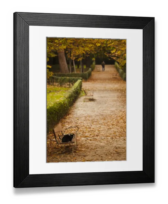 Framed Print : Spain, Madrid, Parque del Buen Retiro park, fall foliage Framed Print : Spain, Madrid, Parque del Buen Retiro park, fall foliage