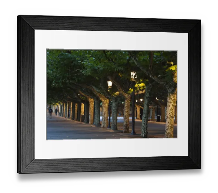 Framed Print : Spain, Castilla y Leon Region, Burgos Province, Burgos, Paeo del Espolon walkway Framed Print : Spain, Castilla y Leon Region, Burgos Province, Burgos, Paeo del Espolon walkway