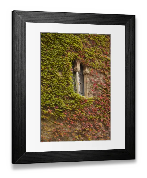 Framed Print : Spain, Extremadura Region, Caceres Province, Caceres, Ciudad Monumental, Old Town
