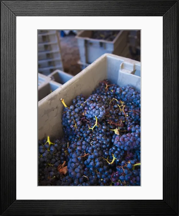 Framed Print : Spain, Basque Country Region, La Rioja Area, Alava Province, Elciego, Bodega Marques