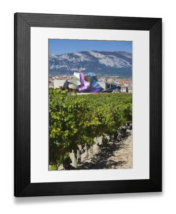 Framed Print : Spain, Basque Country Region, La Rioja Area, Alava Province, Elciego, elevated town view Framed Print : Spain, Basque Country Region, La Rioja Area, Alava Province, Elciego, elevated town view