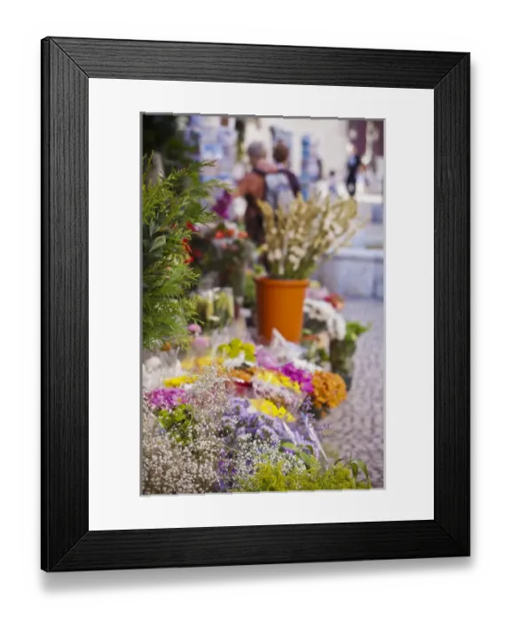 Framed Print : Spain, Andalucia Region, Cadiz Province, Cadiz, Plaza de Topete flower market Framed Print : Spain, Andalucia Region, Cadiz Province, Cadiz, Plaza de Topete flower market