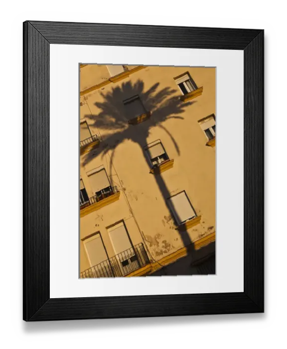 Framed Print : Spain, Andalucia Region, Cadiz Province, Cadiz, Campo del Sur, palm shadow on building Framed Print : Spain, Andalucia Region, Cadiz Province, Cadiz, Campo del Sur, palm shadow on building