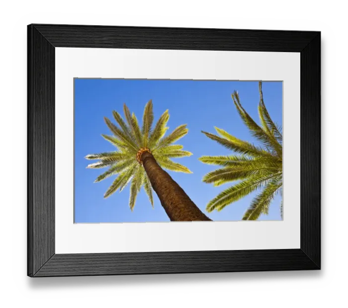 Framed Print : Spain, Andalucia Region, Seville Province, Seville, Palacio de la Condesa de Lebrija Framed Print : Spain, Andalucia Region, Seville Province, Seville, Palacio de la Condesa de Lebrija